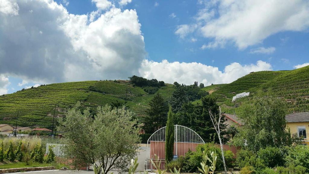 Hotel Le Domaine Des Vignes Ampuis Lyon Sud Vienne Kültér fotó