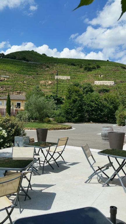 Hotel Le Domaine Des Vignes Ampuis Lyon Sud Vienne Kültér fotó