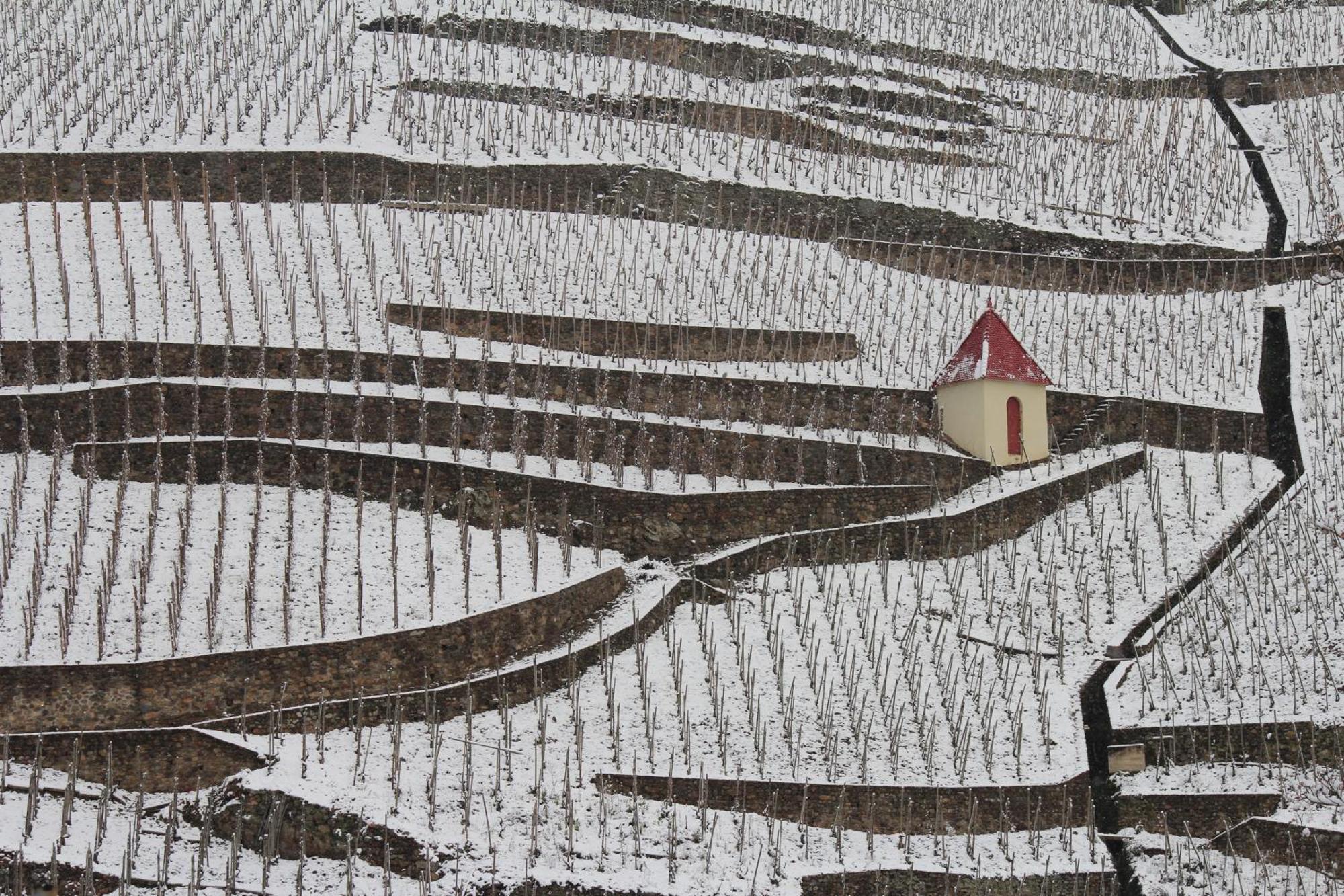 Hotel Le Domaine Des Vignes Ampuis Lyon Sud Vienne Kültér fotó