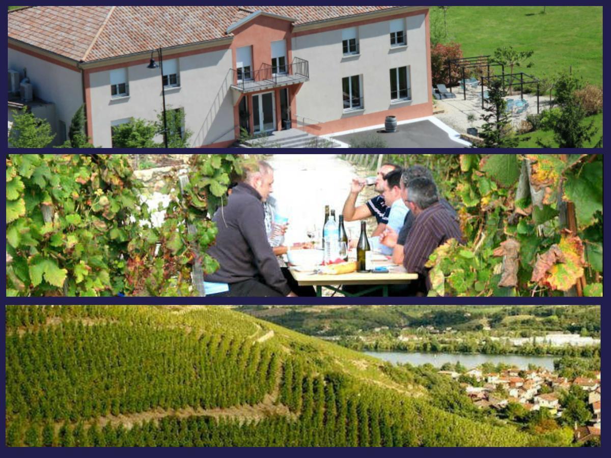 Hotel Le Domaine Des Vignes Ampuis Lyon Sud Vienne Kültér fotó