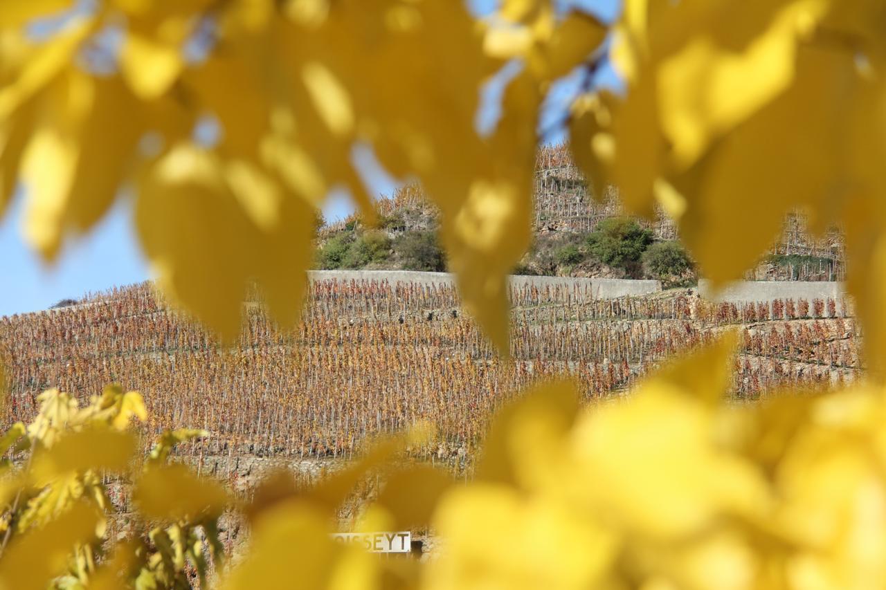 Hotel Le Domaine Des Vignes Ampuis Lyon Sud Vienne Kültér fotó