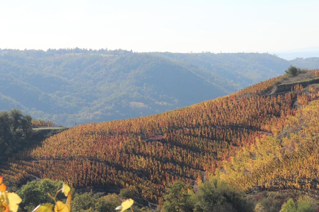 Hotel Le Domaine Des Vignes Ampuis Lyon Sud Vienne Kültér fotó